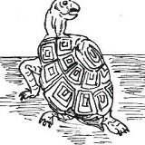 The Turtle